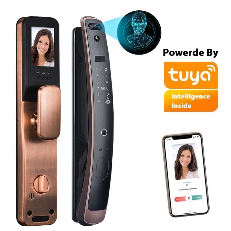 Wifi Tuyaスマートなロック3Dのアクセス管理の顔認識のドア ロック